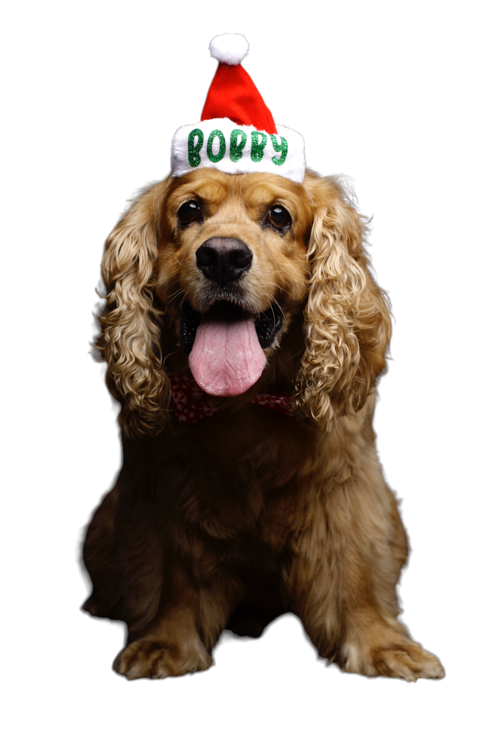 Gorrito de Navidad