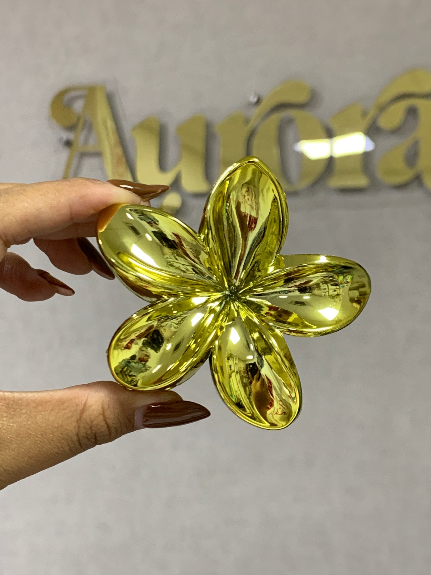 Hawaiian hair clip