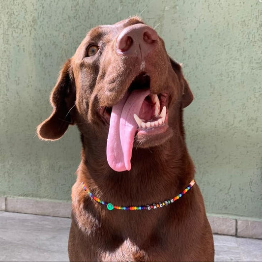 Pets Beaded Collars🐶🐱